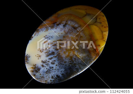 Dendritic Agate A stone that harbors landscapes 112424055