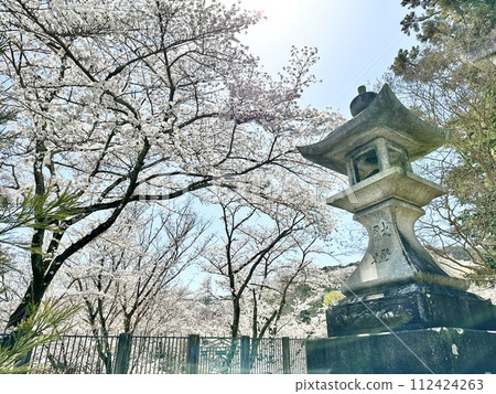 Mio Shrine precincts near Lake Biwa Canal Mio Shrine precincts near Lake Biwa Canal 112424263
