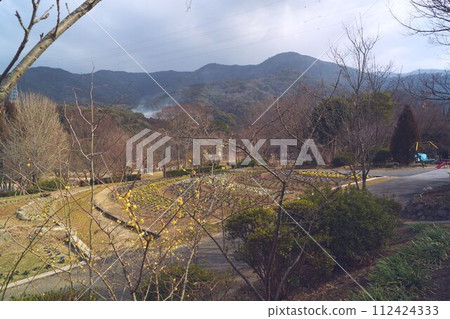 寧靜的鄉村景色 112424333