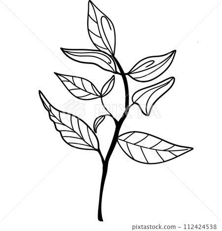 Flower Flower 112424538