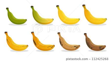 Banana ripeness stages. Different organic fruit peel color from green to brown, organic rotten and fresh ripe fruit. Vegetarian healthy food vector set 112425268