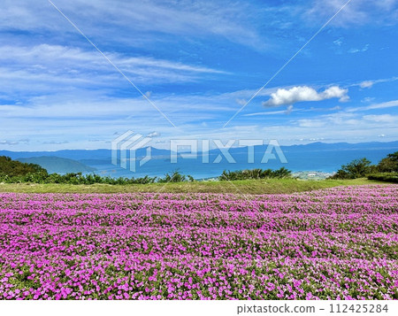 琵琶湖和函館山的夏日花園 4 琵琶湖和函館山的夏日花園 4 112425284