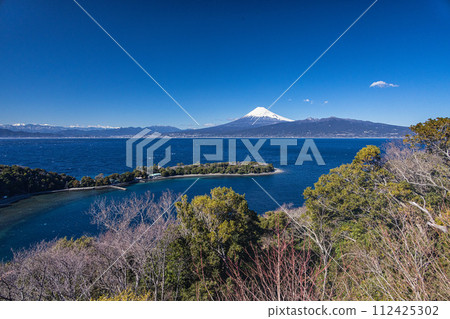 [Shizuoka Prefecture_Izu_Osezaki] Spectacular views of Mt. Fuji and the Southern Alps across Suruga Bay 112425302