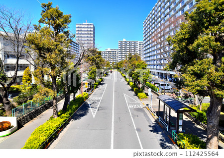 Around Hikarigaoka/Hikarigaoka Harunokaze Elementary School (Nerima Ward, Tokyo) [2024.3] 112425564