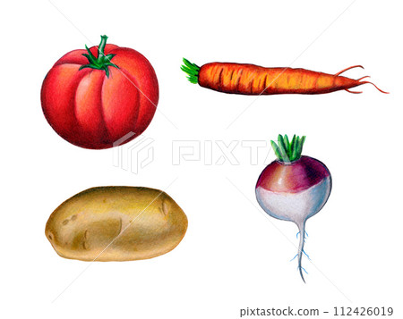Fresh vegetables Fresh vegetables 112426019
