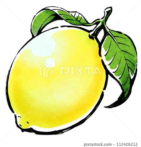 One-point illustration of summer tropical fruits - whole lemon One-point illustration of summer tropical fruits - whole lemon 112426212
