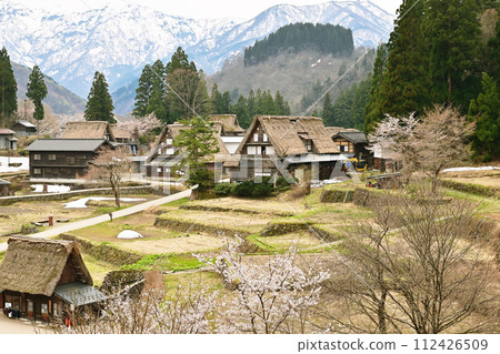 Gokayama Gassho Village, Cherry Blossoms and Gassho-zukuri Village, Toyama Prefecture Tourist Spot, Ainokura Village, Original Japanese Scenery, World Heritage Site Gokayama Gassho Village, Cherry Blossoms and Gassho-zukuri Village, Toyama Prefecture Tourist Spot, Ainokura Village, Original Japanese Scenery, World Heritage Site 112426509