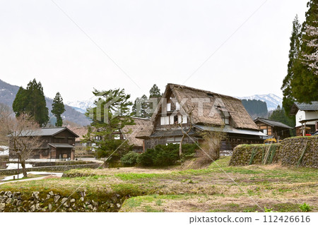 Gokayama Gassho Village, Cherry Blossoms and Gassho-zukuri Village, Toyama Prefecture Tourist Spot, Ainokura Village, Original Japanese Scenery, World Heritage Site 112426616