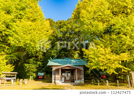 宮浦神社的情侶銀杏樹風景（霧島市福山町） 112427475
