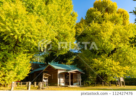 宮浦神社的情侶銀杏樹風景（霧島市福山町） 112427476