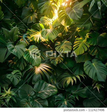 AI-generated content. The sunlight filters through the lush green leaves of a tropical terrestrial plant, creating a beautiful display of light and shadow in the forest 112427496
