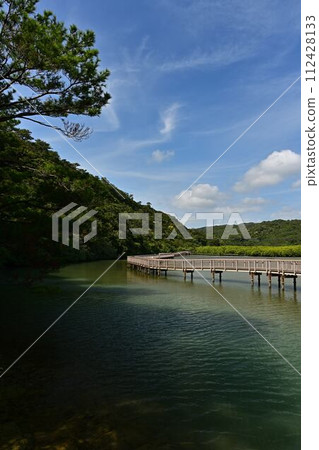 從大浦紅樹林路出發 從大浦紅樹林路出發 112428133
