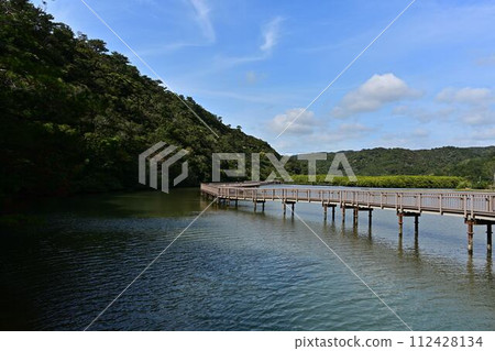 從大浦紅樹林路出發 112428134
