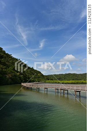 從大浦紅樹林路出發 從大浦紅樹林路出發 112428135