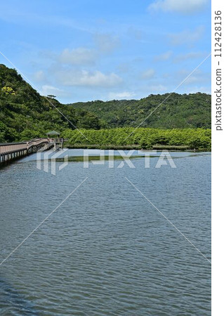 From Oura Mangrove Road From Oura Mangrove Road 112428136