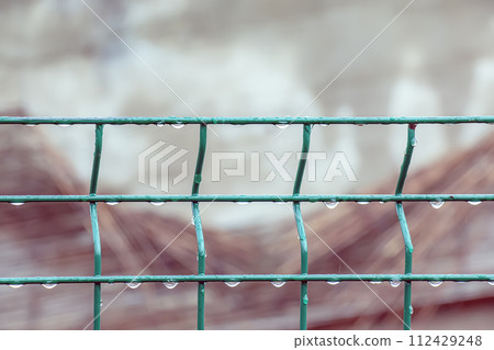 Wet green fence against a background of green nature. Drops. Iron mesh fence close-up. 112429248