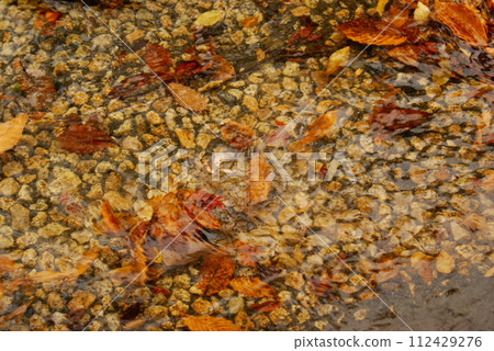 Color Flowing River Transparent (Registered in March 2024) Color Flowing River Transparent (Registered in March 2024) 112429276