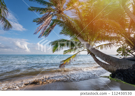 Sandy tropical beach  with golden sun 112430530