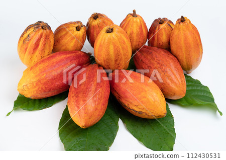 Big group of cacao pods 112430531