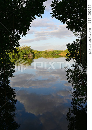 View of Paurotis Pond through mangrove arch in Everglades National Park. View of Paurotis Pond through mangrove arch in Everglades National Park. 112430953