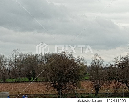 landscape with field landscape with field 112431603