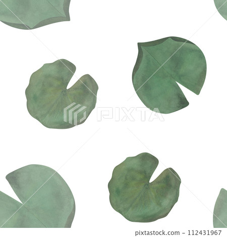 Watercolor waterlily leaves seamless pattern Botanical print for textile, wrapping, paper childish clothes, baby decor 2024, wallpaper Floral Lotus pad White background Watercolor waterlily leaves seamless pattern Botanical print for textile, wrapping, paper childish clothes, baby decor 2024, wallpaper Floral Lotus pad White background 112431967