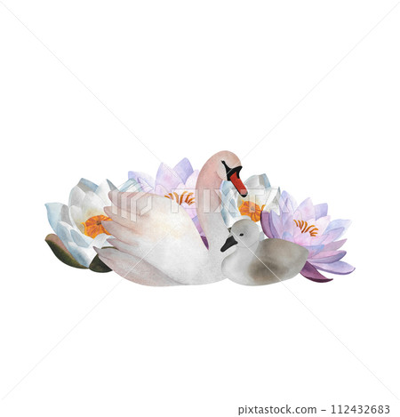 Watercolor white swan and baby swan waterlilies Mother child Hand drawn Animal cute illustration for Mother's day 2024, baby decor 2024, newborn design, logos, postcards, posters Avian Cub Young bird Watercolor white swan and baby swan waterlilies Mother child Hand drawn Animal cute illustration for Mother's day 2024, baby decor 2024, newborn design, logos, postcards, posters Avian Cub Young bird 112432683