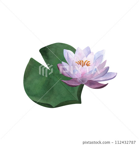 Watercolor violet waterlily and leaf Botanical composition for greeting cards, postcards, spa and yoga logos, invitations For Mother's day, Women's day 2024, birthday Hand painted floral illustration 112432787