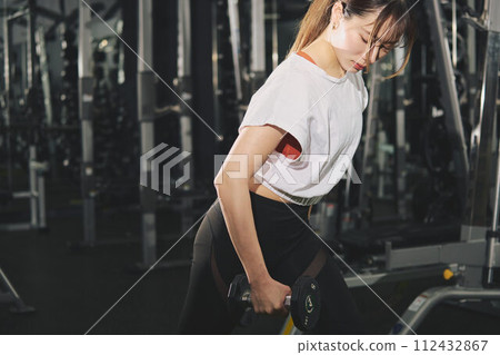 Women training at the gym Women training at the gym 112432867