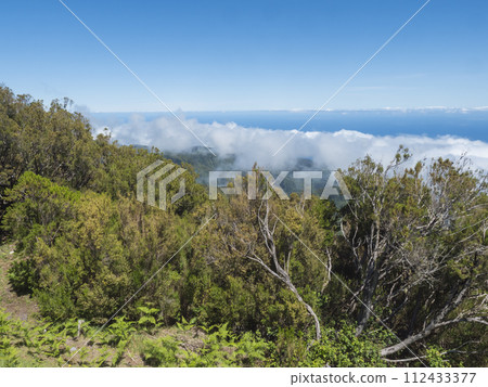 View over the mountains and Atlantic Ocean above the clouds at hiking trail PR1.2 from Achada do Teixeira to Pico Ruivo, the highest peak in the Madeira, Portugal 112433377