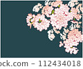 Cherry blossom design template. Hand drawn background material. Japanese style. 112434018