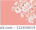 Cherry blossom design template. Hand drawn background material. Japanese style. 112434019