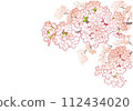 Cherry blossom design template. Hand drawn background material. Japanese style. 112434020