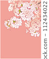 Cherry blossom design template. Hand drawn background material. Japanese style. 112434022