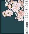 Cherry blossom design template. Hand drawn background material. Japanese style. 112434023