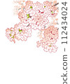 Cherry blossom design template. Hand drawn background material. Japanese style. 112434024