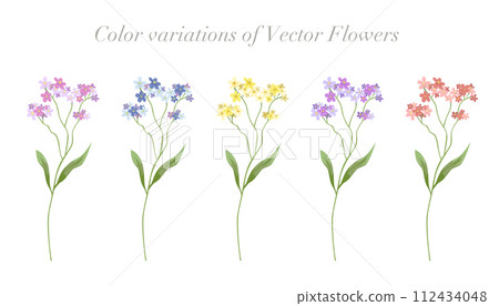 Small flowers, botanicals, flower color variations, vector illustration material 112434048