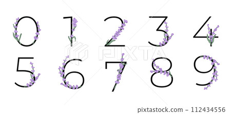Lavender blossom violet little flower number for wedding design of card or invitation. Vector illustrations, isolated on white background for summer floral design Lavender blossom violet little flower number for wedding design of card or invitation. Vector illustrations, isolated on white background for summer floral design 112434556