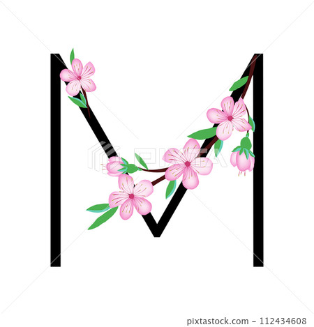 ABC-Flower 112434608