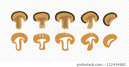 Sliced mushroom vector graphic illustration Sliced mushroom vector graphic illustration 112434902