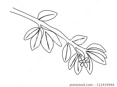 Tree branch, one line drawing vector illustration. 112434948