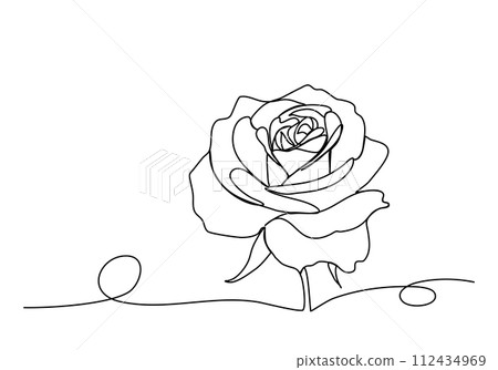 Rose. One line drawing vector illustration. 112434969