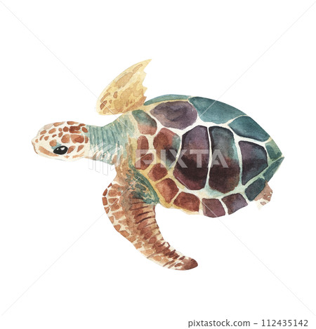 Sea turtle. Realistic, artistic, colored drawing of a sea turtle on a white background in a watercolor style. Sea Turtle Turquoise Oceanlife Art Sea turtle. Realistic, artistic, colored drawing of a sea turtle on a white background in a watercolor style. Sea Turtle Turquoise Oceanlife Art 112435142