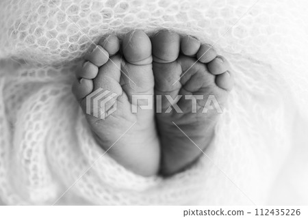 The tiny foot of a newborn baby. Soft feet of a new born in a wool blanket. Close up of toes, heels and feet of a newborn. Black and white Macro photography. The tiny foot of a newborn baby. Soft feet of a new born in a wool blanket. Close up of toes, heels and feet of a newborn. Black and white Macro photography. 112435226