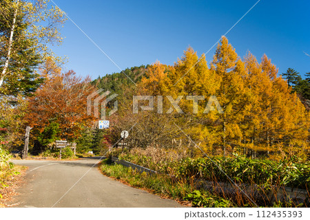 Vibrant autumn leaves around Nogi Pass [Around the entrance of the aid hut] 112435393