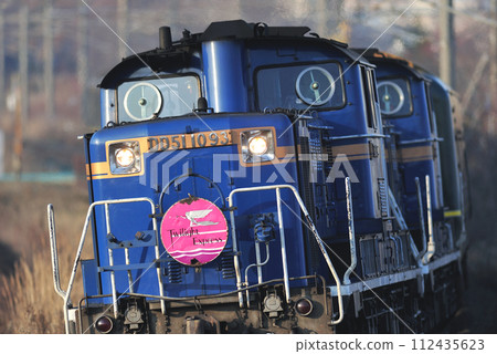 Chitose Line Kitahiroshima-Shimamatsu JR Hokkaido DD51-1093+24 series Twilight Express 112435623