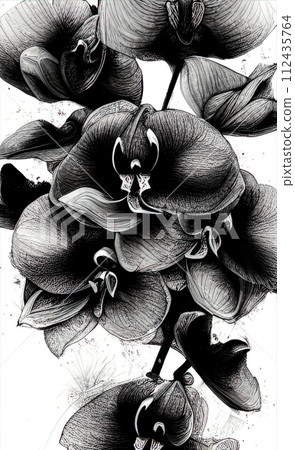 black and white drawing of an orchid flower close up, monochrome graphics, AI generation 112435764
