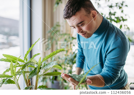 Young man with Down syndrome taking care of indoor plant, carefully touching, snuggling plant leaf. 112436056