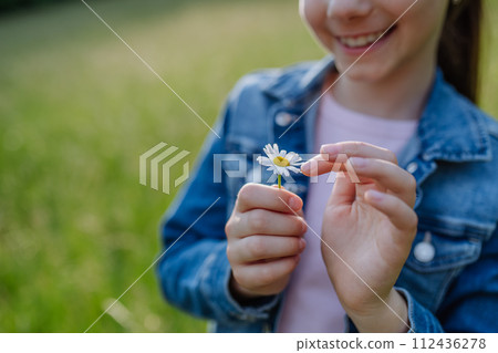 Portrait of beautiful young girl holding daisy flower, standing on meadow, enjoying warm spring day. 112436278
