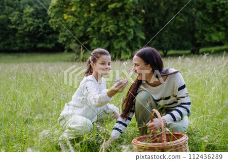 Daughter picking flowers, giving them to mother. Concept of family ecological hobby in nature. Mother's Day. 112436289